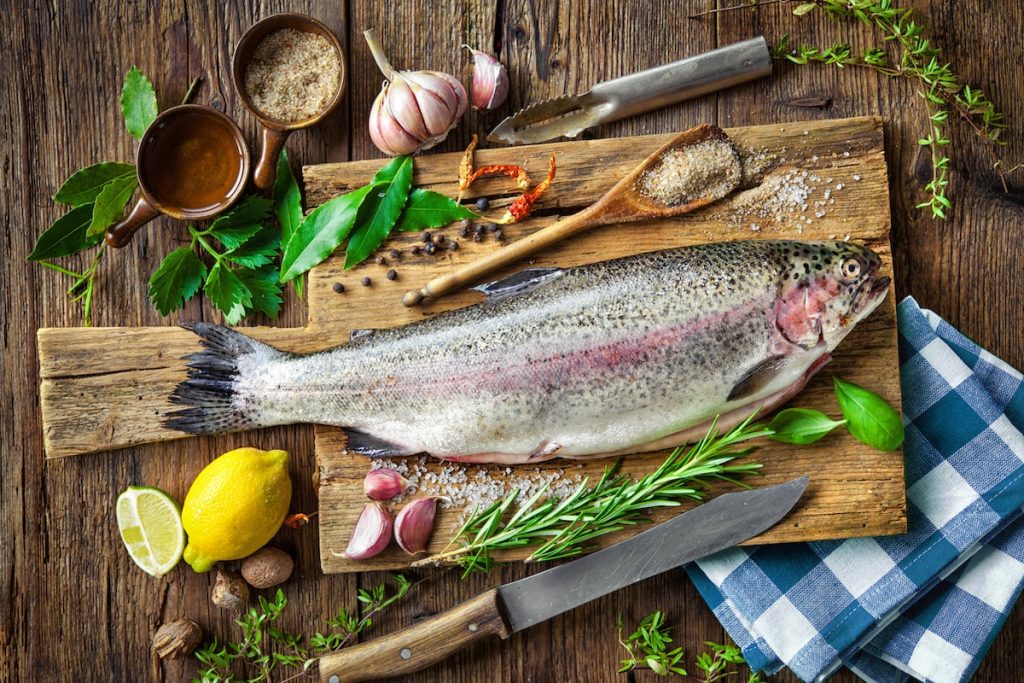 انواع ماهی