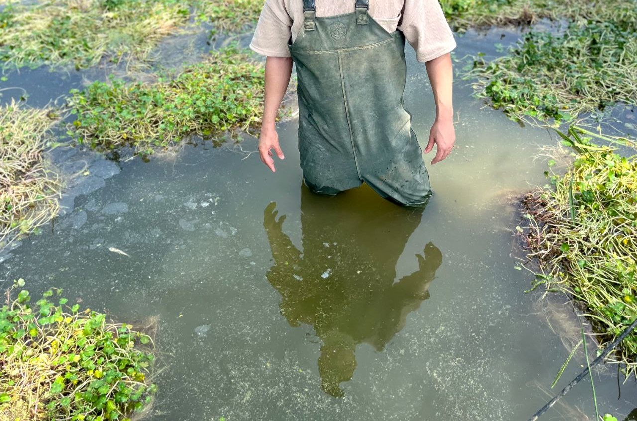 استخر پرورش ماهی 01