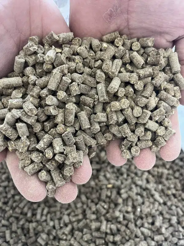 خوراک ماهی