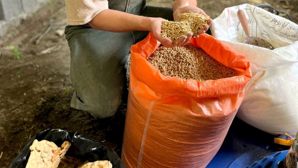 طرز تهیه غذای بچه ماهی