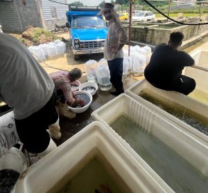 ماهیان گرمابی 02