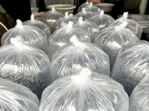 پرورش ماهی در مناطق سردسیر 04