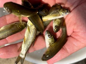 شرایط زمین برای احداث پرورش ماهی