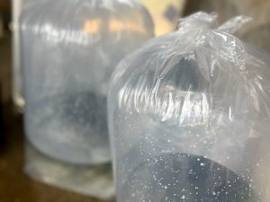 سوالات رایج در مورد پرورش ماهی 03