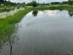 شرایط احداث استخر پرورش ماهی 02