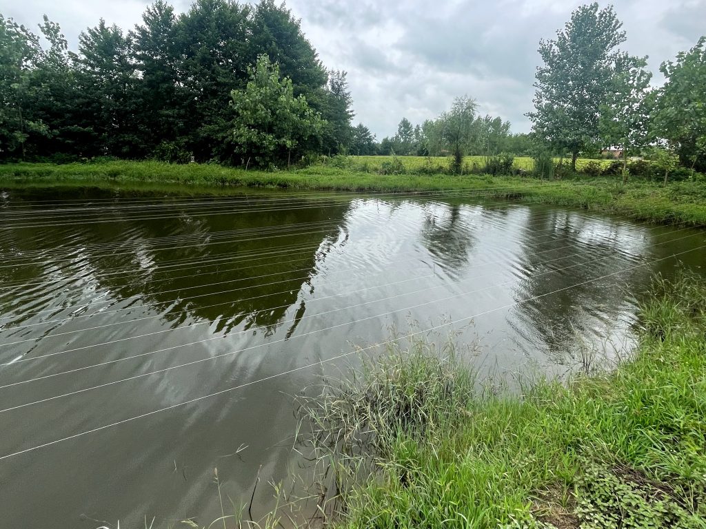 شرایط احداث استخر پرورش ماهی