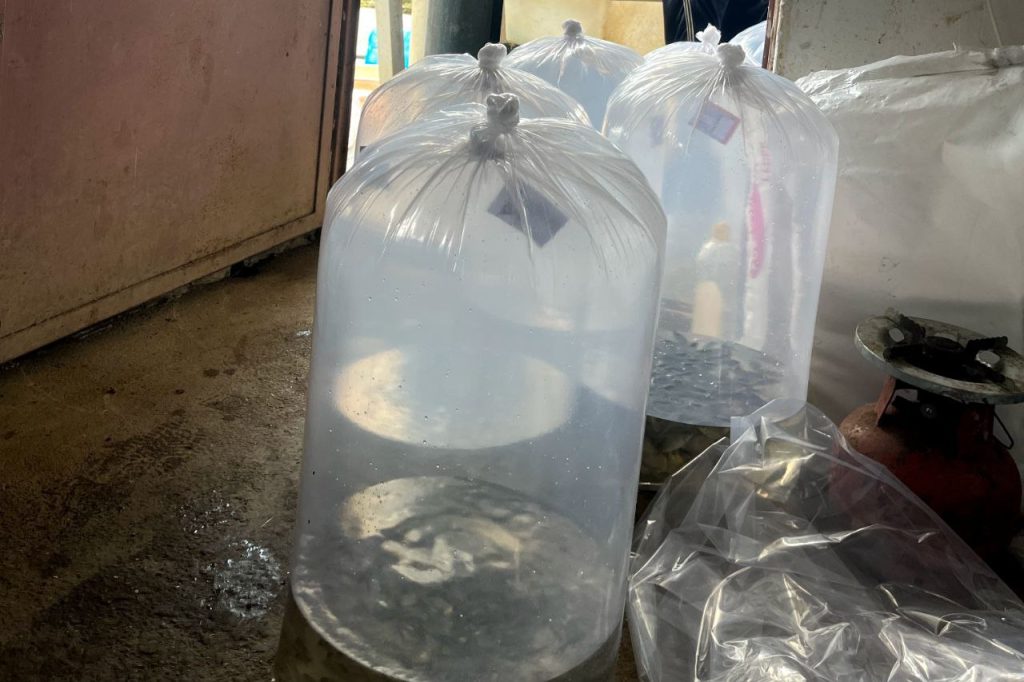 تفاوت میان استخر سیمانی، خاکی و ژئوممبران 03