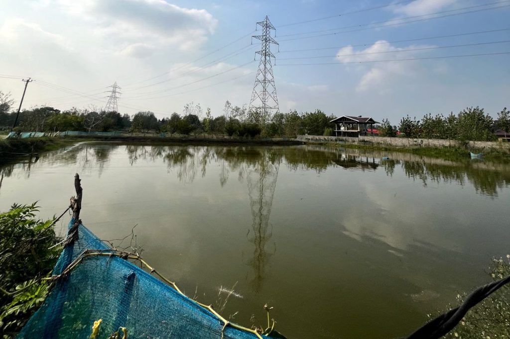 سیستم پرورش ماهی مداربسته 01