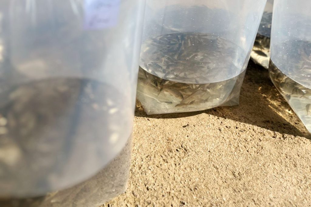 تجهیزات پرورش ماهی 02