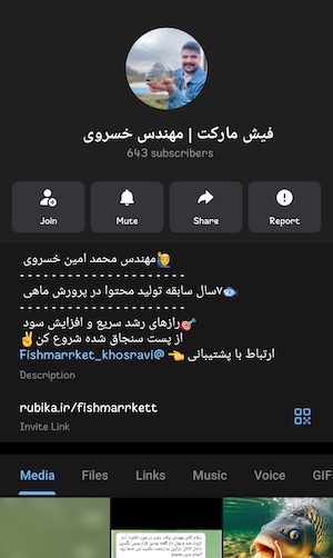 کانال روبیکا فیش مارکت