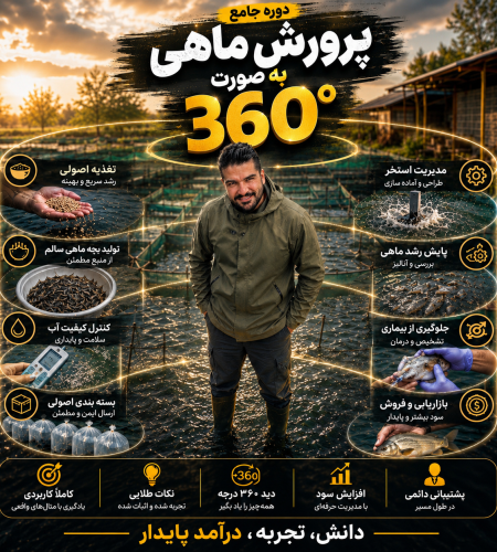 دوره 360
